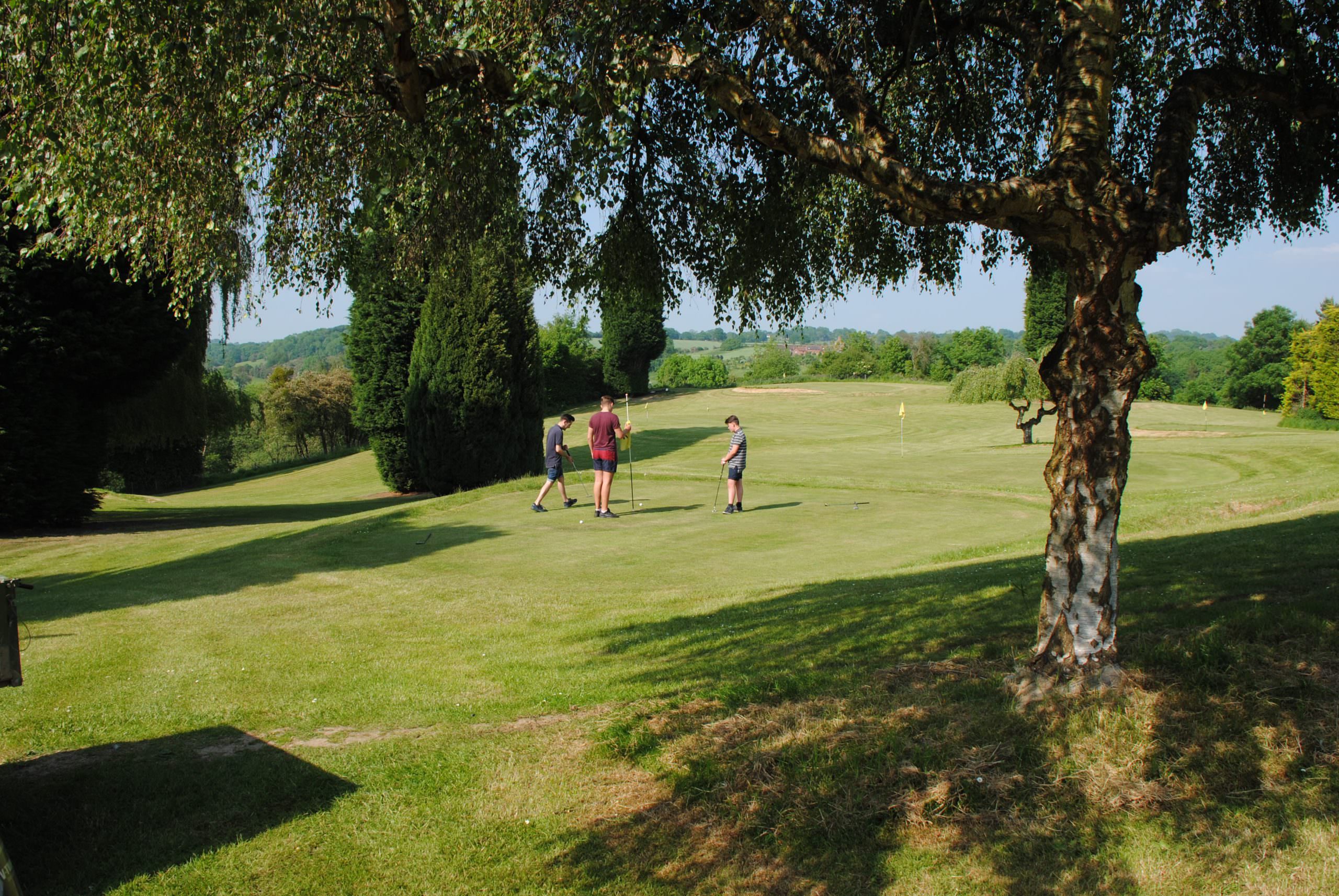 A view across Bank Farm Holiday Park, looking down through the trees, across one of the putting greens, down the fairway. It’s a beautiful day, the trees are in full leaf, there are 3 boys on the putting green and the sky is crystal blue.